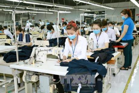 Hưởng chế độ bảo hiểm xã hội một lần:  Cân nhắc kỹ trước khi ra quyết định