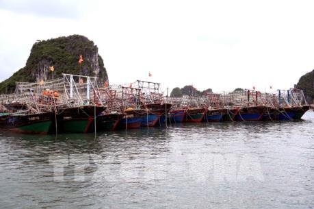 Quảng Ninh đề xuất điều hành “đặc khu” Vân Đồn như quản trị doanh nghiệp