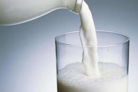 Phản hồi về chất lượng sữa dùng cho trẻ ở các trường mầm non tại Lào Cai