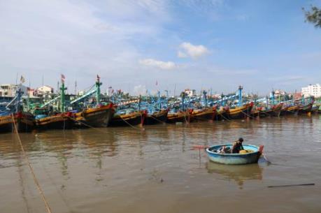 Tàu nước ngoài bồi thường 45.000 USD do đâm chìm tàu cá Bình Thuận