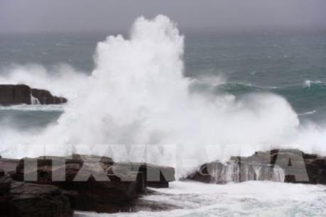 Bão số 12 giật cấp 15 cách bờ biển Phú Yên-Khánh Hòa-Ninh Thuận khoảng 350 km về phía Đông