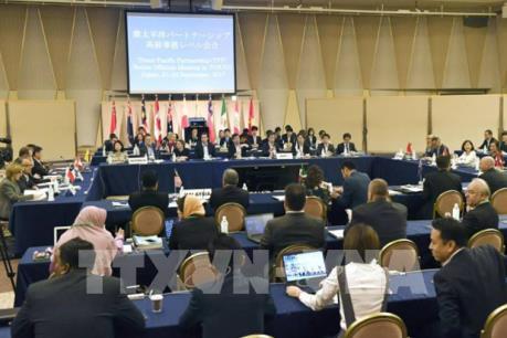 TPP gần đi đến đích trước thềm Hội nghị Cấp cao APEC 2017