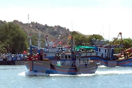 Cục Đường thủy nội địa yêu cầu không cho các phương tiện thủy rời cảng, bến