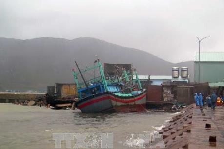 Mưa lớn trên diện rộng, hơn 2.750 hộ dân ở Bình Định bị ngập nước