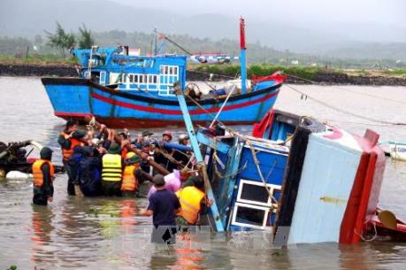 Những thống kê thiệt hại ban đầu do cơn bão số 12