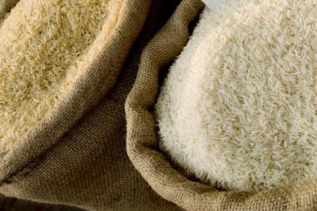 Thái Lan nghiên cứu phát triển thị trường gạo hữu cơ