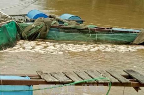 Ứng phó với bão Kai-Tak: Các tỉnh thành kiểm soát chặt chẽ tàu thuyền ra khơi