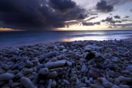 APEC 2017: Thúc đẩy phát triển nông nghiệp bền vững, thích ứng với biến đổi khí hậu