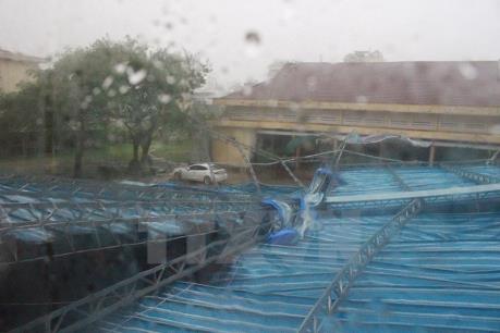 Lãnh đạo Trung Quốc gửi điện thăm hỏi lãnh đạo Việt Nam về những thiệt hại do bão số 12 