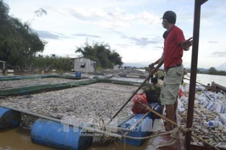 Hàn Quốc viện trợ 1 triệu USD giúp Việt Nam khắc phục hậu quả bão Damrey