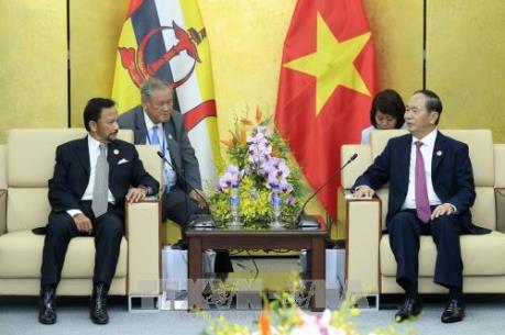 APEC 2017: Chủ tịch nước Trần Đại Quang gặp song phương Quốc vương Brunei