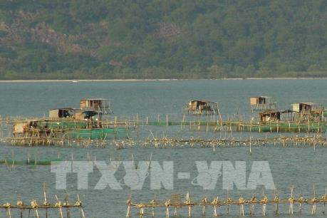 Đột phá kinh tế từ chăn nuôi thủy sản theo hướng an toàn sinh học