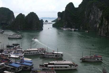 Đình chỉ hoạt động thuyền trưởng và tàu du lịch vi phạm trên vịnh Hạ Long