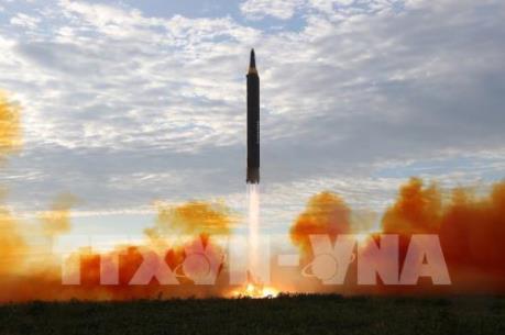 APEC 2017: Chủ tịch Trung Quốc gặp lãnh đạo Nhật Bản và Hàn Quốc