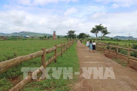 Triển khai bộ quy tắc ứng xử du lịch tại thành phố Đà Lạt