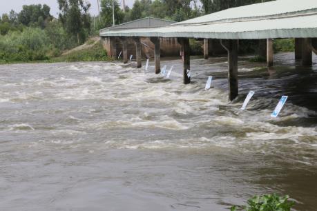 Tiền Giang đầu tư hơn 330 tỷ đồng thi công cống đập ngăn lũ và triều cường