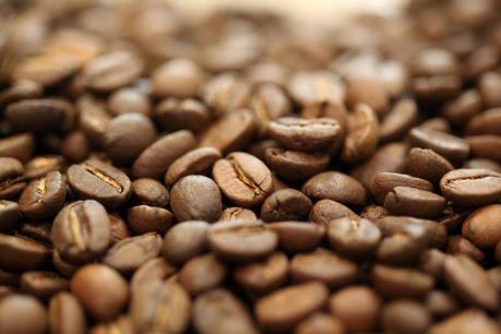 Dự báo giá cà phê tuần từ 13 - 18/11