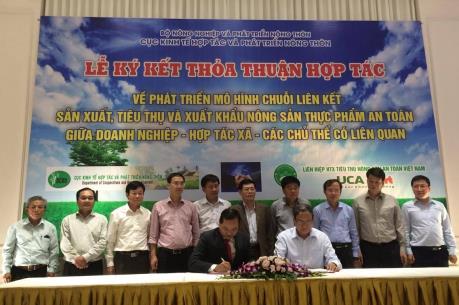 Sẽ có trung tâm kết nối sản xuất, tiêu thụ nông sản an toàn