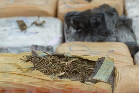 Phát hiện hơn 13 kg thảo mộc nghi cần sa vận chuyển qua đường hàng không