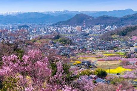 Nhiều chương trình tour khuyến mãi dịp Tết 2018