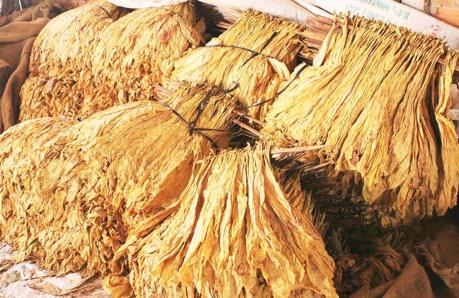 Lấy ý kiến dự thảo Thông tư quy định nhập khẩu thuốc lá nguyên liệu theo hạn ngạch 