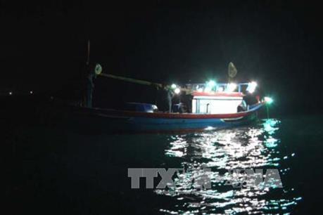 Khẩn trương tìm kiếm nạn nhân mất tích trong vụ chìm tàu tại khu vực đảo Trần Nhạn