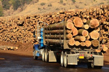 Diễn biến mới nhất của "cuộc chiến" gỗ xẻ mềm giữa Canada và Mỹ