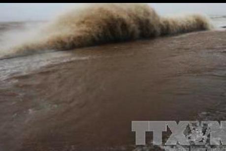 Huyện đảo Trường Sa an toàn qua bão số 16