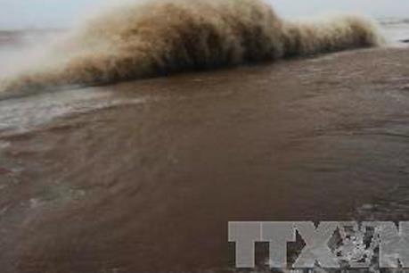 Triển khai Công điện của Thủ tướng Chính phủ ứng phó với bão số 14