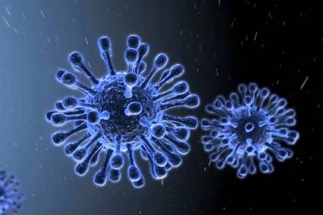 Hàn Quốc phát hiện chủng virus cúm gia cầm nguy hiểm trong phân chim rừng
