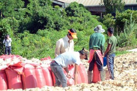 Phạt hành chính và buộc Công ty Tinh bột sắn Kon Tum khắc phục hậu quả ô nhiễm môi trường