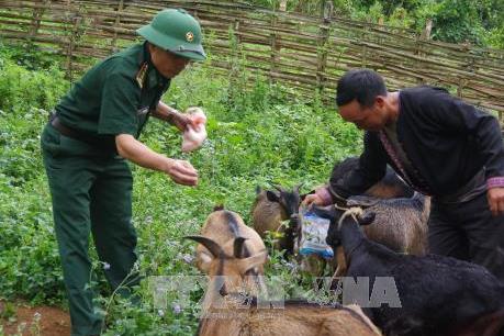  Kinh tế hộ gia đình tạo diện mạo mới cho mảnh đất vùng biên giới Lai Châu 