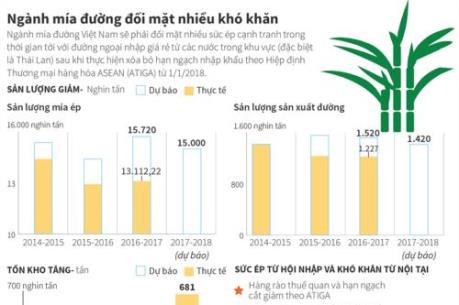 Ngành mía đường đối mặt nhiều khó khăn