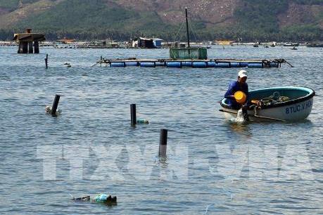 Phát triển kinh tế biển bền vững: Bài 2- Quản lý biển theo không gian