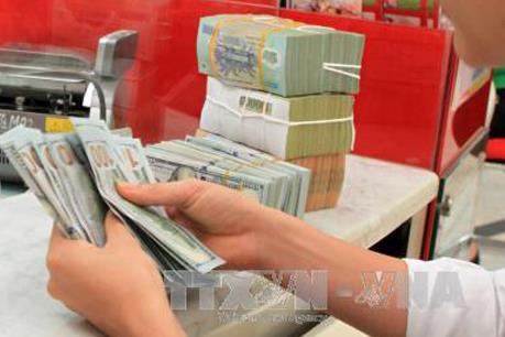 Sự cố ở Quỹ tín dụng Thái Bình không ảnh hưởng tới hoạt động tín dụng ở Đồng Nai