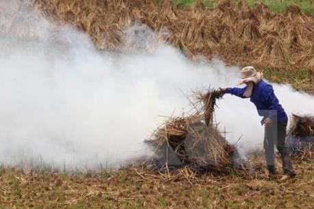 Tận dụng sinh khối nhằm giảm thiểu hoạt động đốt ngoài trời