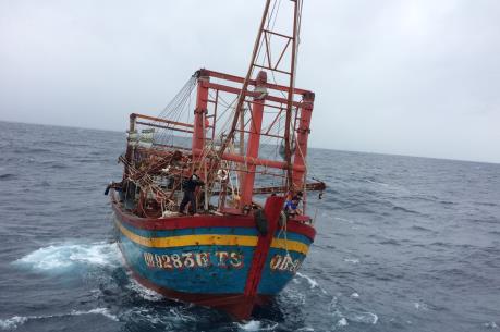  Trợ giúp cấp cứu một cháu bé bị bệnh nguy kịch trên đảo Cù Lao Chàm