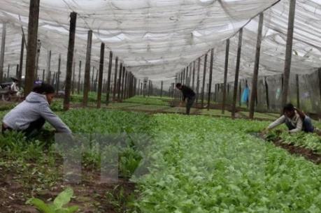 Trà Vinh hỗ trợ phát triển hợp tác xã