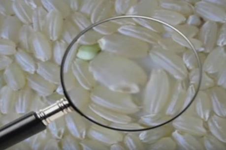 Nghi vấn gạo giả tại Quảng Ngãi