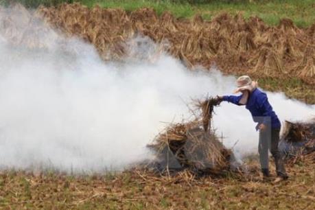 Động lực phát triển năng lượng sinh khối
