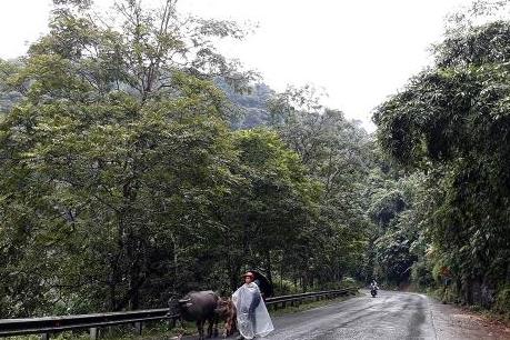 Không khí lạnh tăng cường, nhiệt độ tại Lào Cai giảm sâu