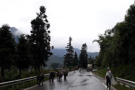 Lào Cai sẽ cấm xe tải từ 4 trục trở lên lưu thông trên Quốc lộ 4D dịp 2/9