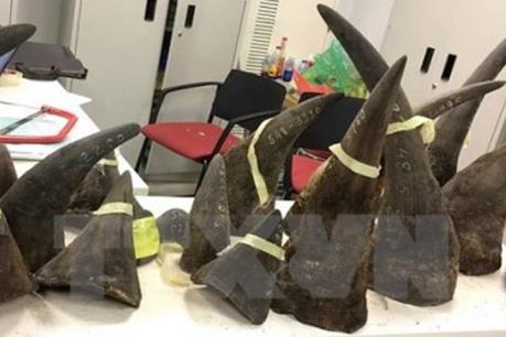 Yêu cầu điều tra bổ sung vụ án hai vợ chồng “trùm” sản phẩm động vật quý hiếm