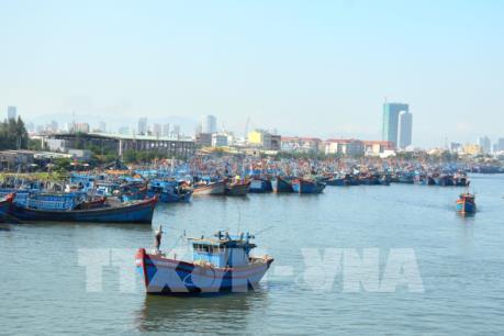 Khắc phục “thẻ vàng” IUU - Bài 1: Đi tìm lời giải cho bài toán quản lý tàu cá