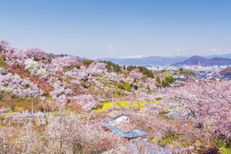  “22 ngày vàng” – Tri ân vàng, ngàn ưu đãi