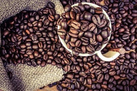 Dự báo giá cà phê tuần từ 27/11 - 2/12