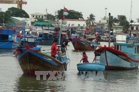 Bình Thuận cấm tàu ra biển từ 16h ngày 23/12