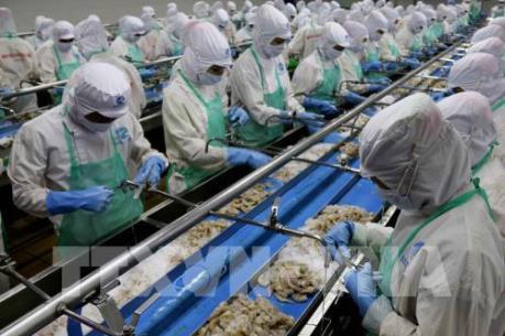 Khắc phục “thẻ vàng” IUU -  Bài 2: Lấy lại “thẻ xanh” khó vẫn phải làm