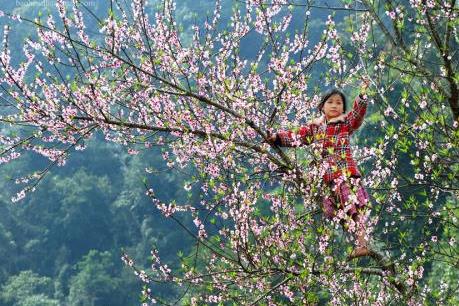 Du lịch Tết và nhiều ưu đãi miễn phí