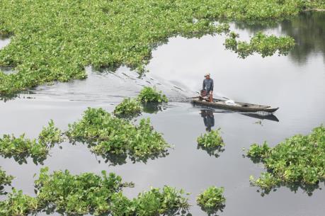 Người dân mong muốn có thêm những cây cầu bắc qua sông Vàm Cỏ Đông